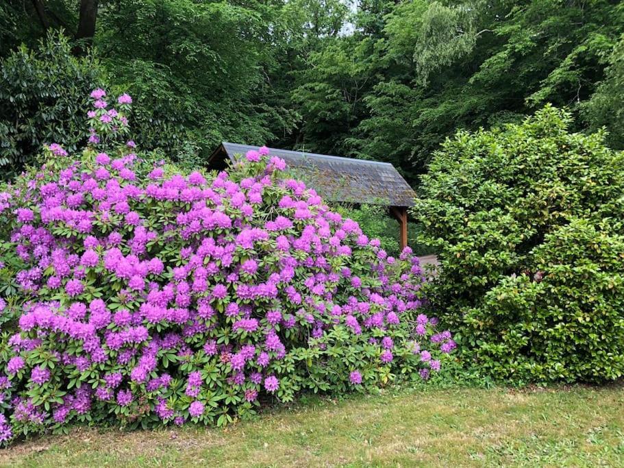 "La Homerie" Chaumiere En Pleine Nature Savigny-en-Sancerre Eksteriør bilde