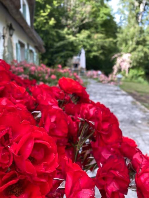 "La Homerie" Chaumiere En Pleine Nature Savigny-en-Sancerre Eksteriør bilde